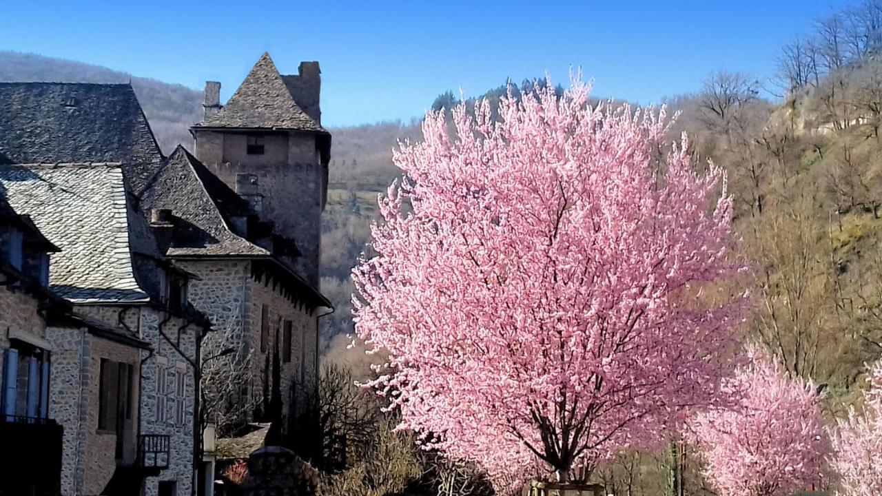 L'Oustalou - Gite Entre Lot Et Truyere Entraygues-sur-Truyere Exterior photo
